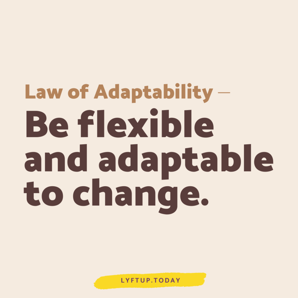 lyftup - law of adaptability: Be flexible and adaptable to change.